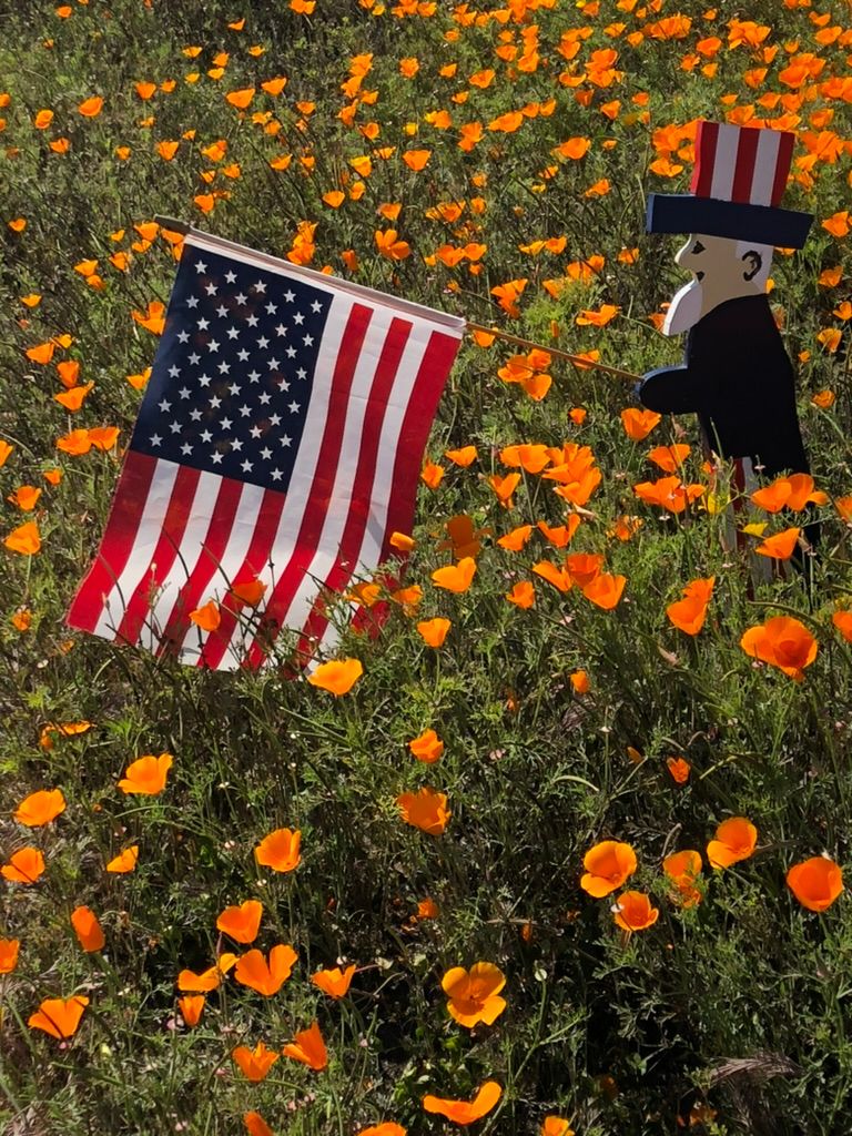 National Poppy Day May 24, 2024.