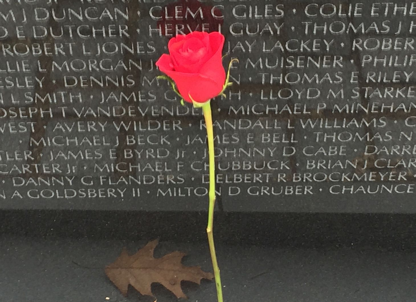 Roses and The Tall Poppy 
Syndrome(TPS)