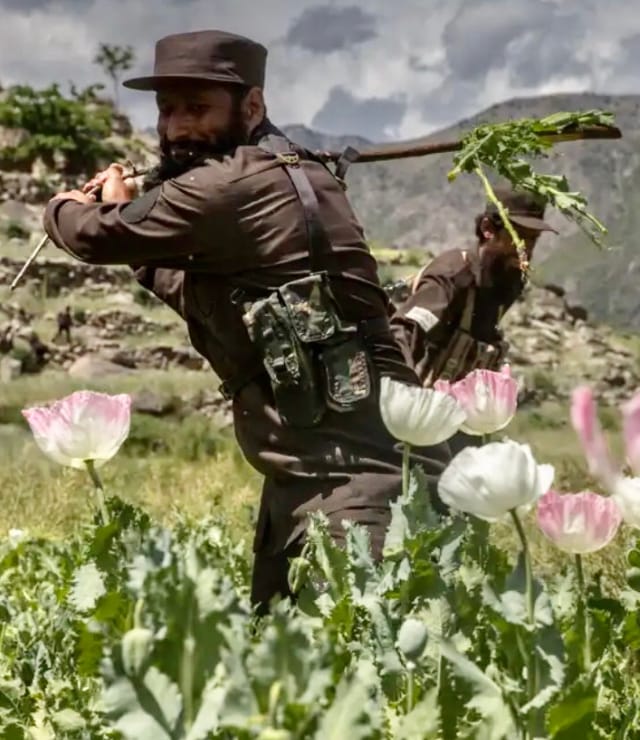 Hamdan Ballal, Fear, and the Tall Poppy Syndrome.