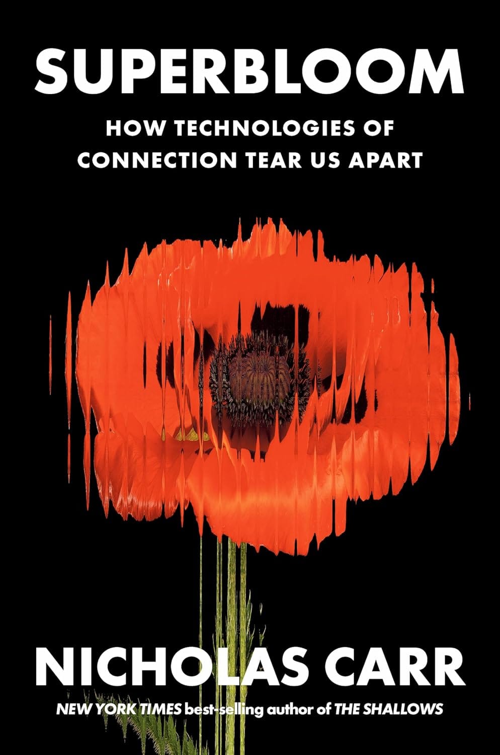 Social Media Spawns the Tall Poppy Syndrome.